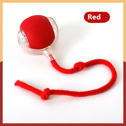 Exciting Interactive Cat Toy Ball - Keep Your Feline Friend Entertained for Hours!
