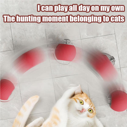 Electric Dog Cat Ball Toy,Indoor Large and Small Cat Dog Interactive Intelligent Rolling Pet Ball
