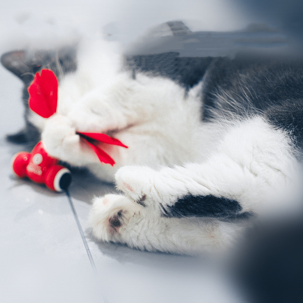 Cat Toys Are Fully Automatic and Intelligent