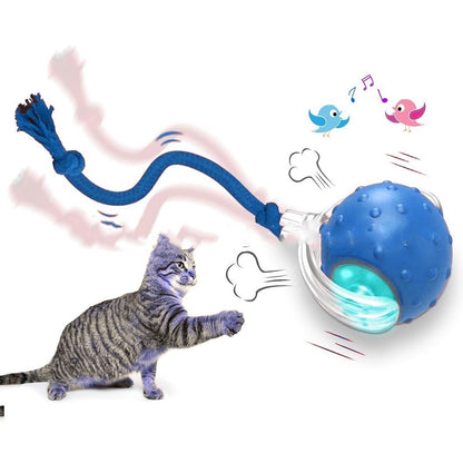 Exciting Interactive Cat Toy Ball - Keep Your Feline Friend Entertained for Hours!
