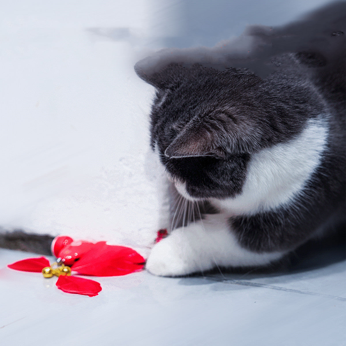 Cat Toys Are Fully Automatic and Intelligent