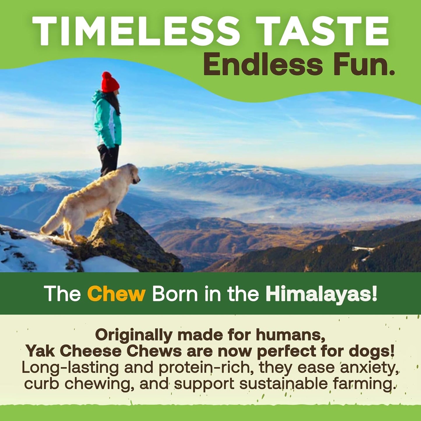 Gold Yak Chews for Small Dogs – Organic Himalayan Dog Treats