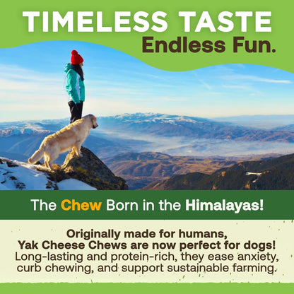 Gold Yak Chews for Small Dogs – Organic Himalayan Dog Treats