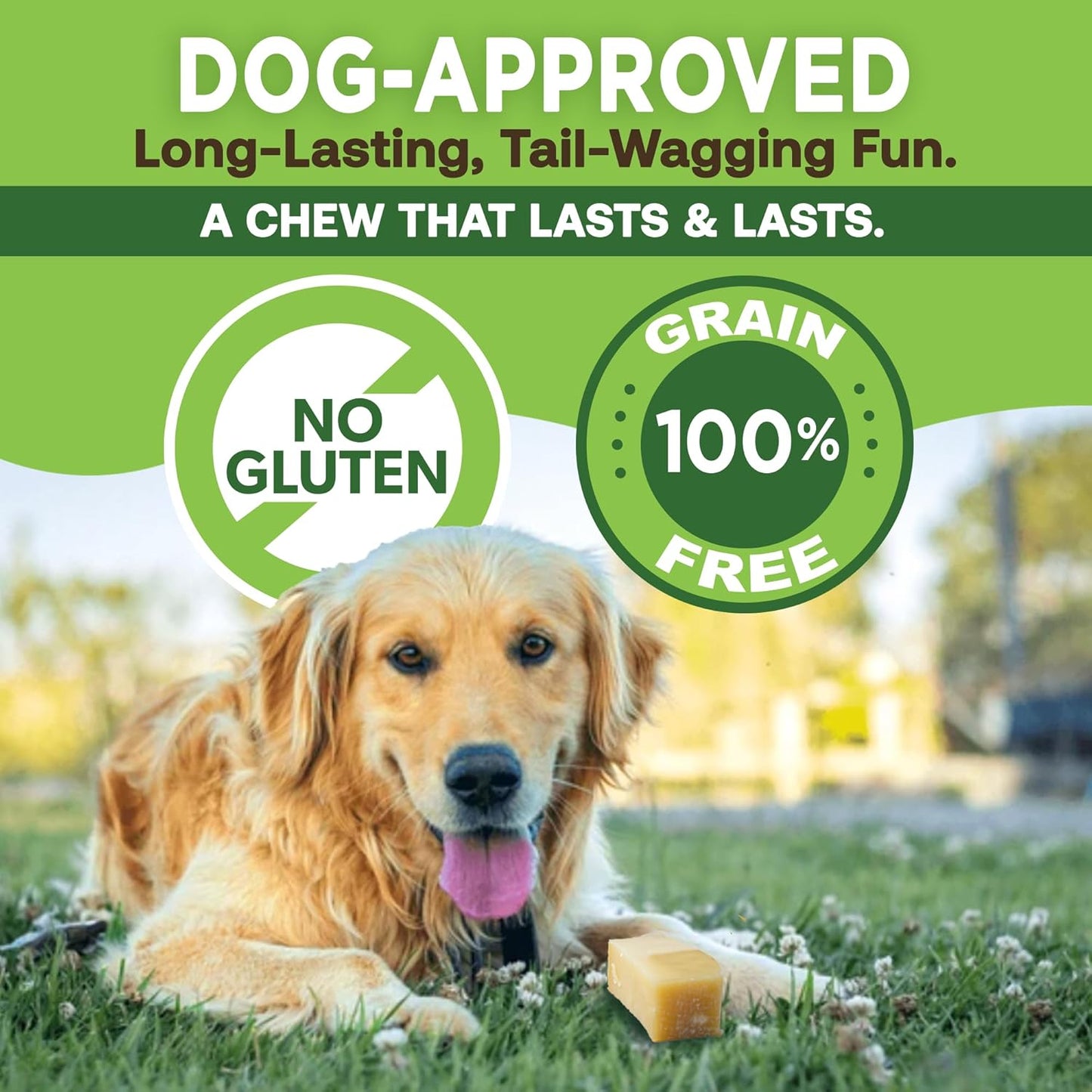 Gold Yak Chews for Small Dogs – Organic Himalayan Dog Treats