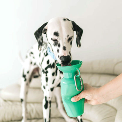 Springer Classic Dog Travel Water Bottle – 22 oz