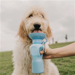 Springer Classic Dog Travel Water Bottle – 22 oz