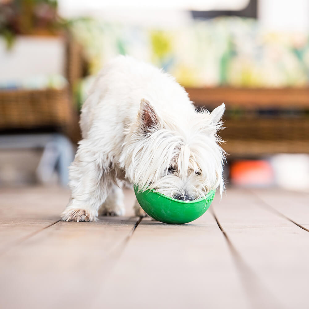 LickiMat Wobble – Dog Enrichment & Slow Feeder | ZumiPets