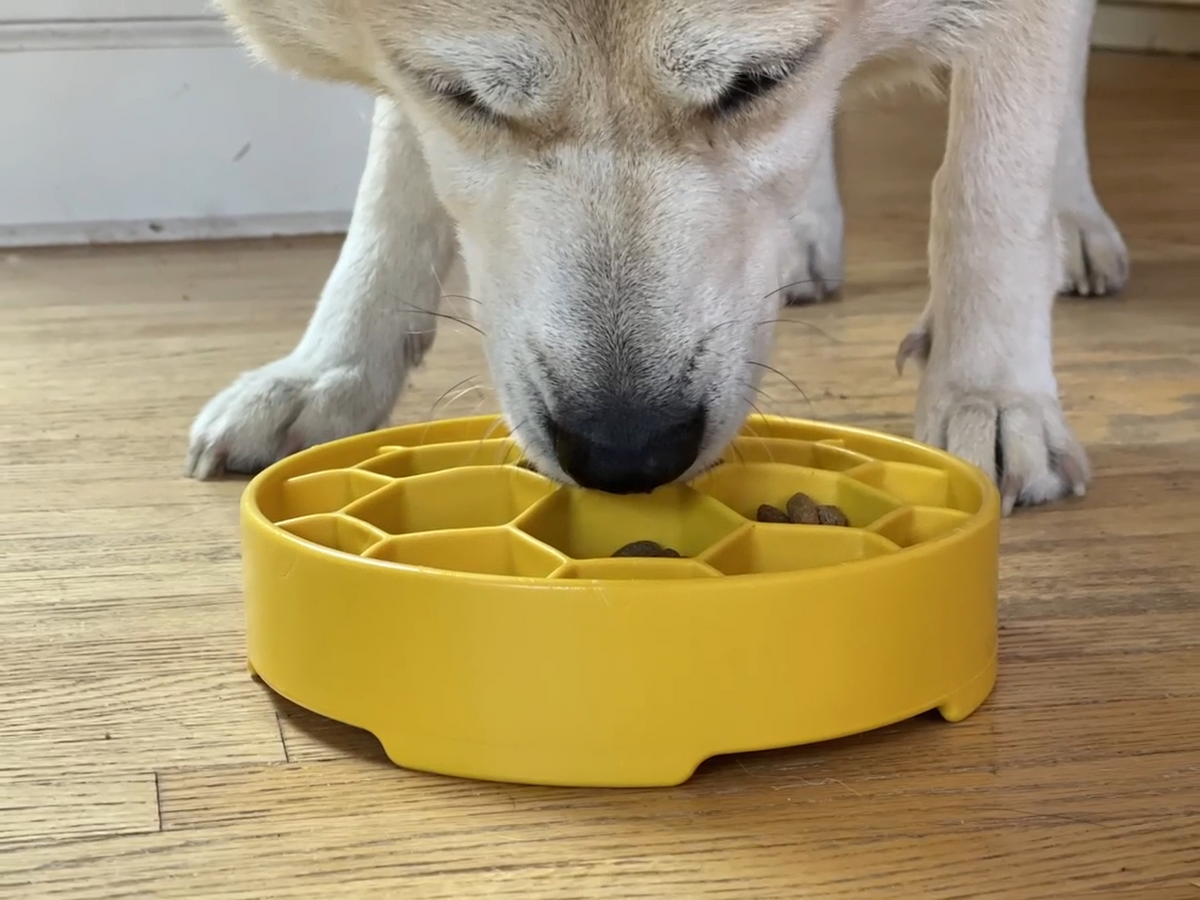 SodaPup Honeycomb eBowl Slow Feeder & Enrichment Bowl