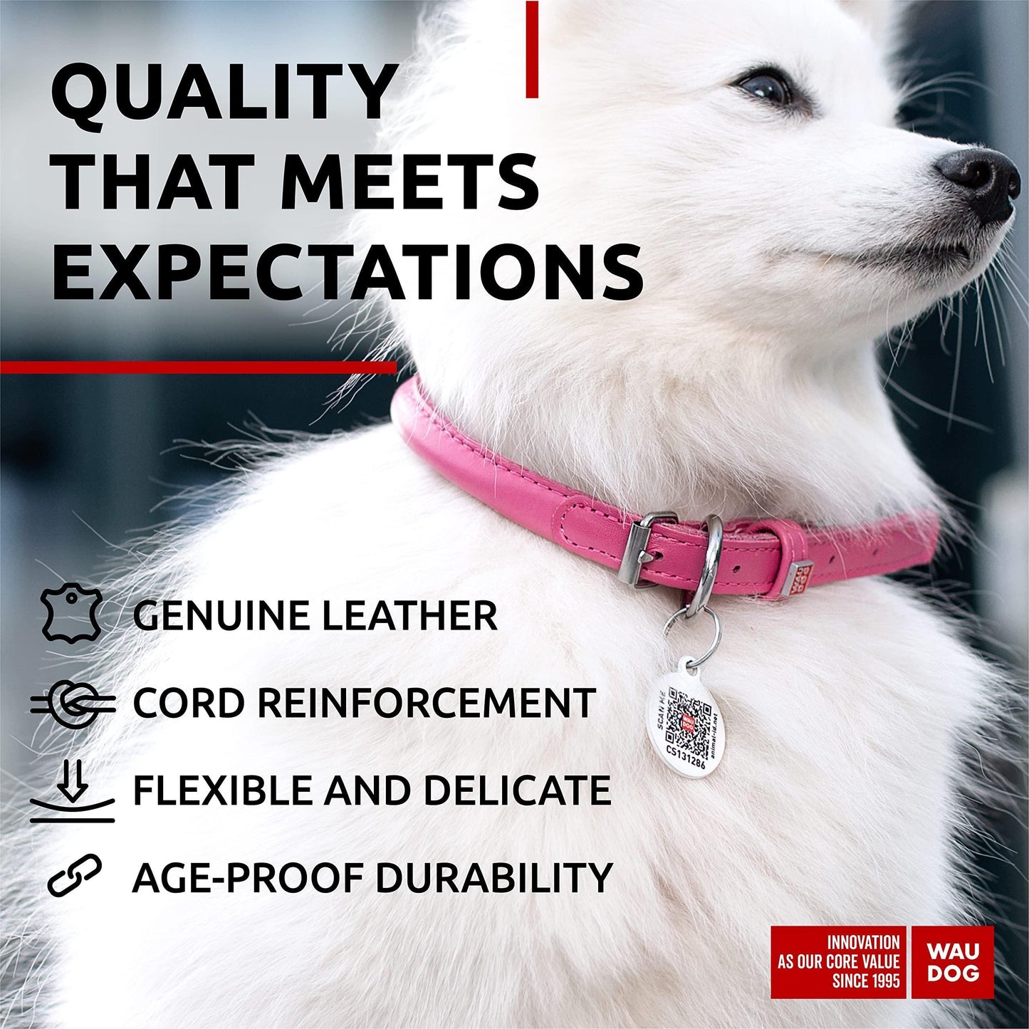 WAUDOG Ultra Soft Rolled Leather Dog Collar for Small Dogs   Soft Padded Dog Collars for Medium Dogs   Puppy Collars for Large Breed Dogs   Male and Female Dog Collar