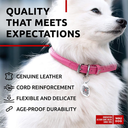 WAUDOG Ultra Soft Rolled Leather Dog Collar for Small Dogs   Soft Padded Dog Collars for Medium Dogs   Puppy Collars for Large Breed Dogs   Male and Female Dog Collar