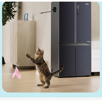 Cat playing with suction cup feather bell toy on white wall