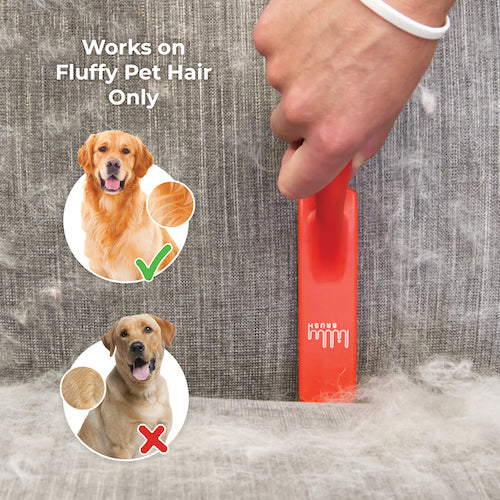 Lilly Brush BFF removing pet hair from upholstered furniture